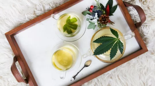 Cannabis and tea
